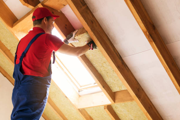 Best Attic Insulation Installation  in Wofford Heights, CA